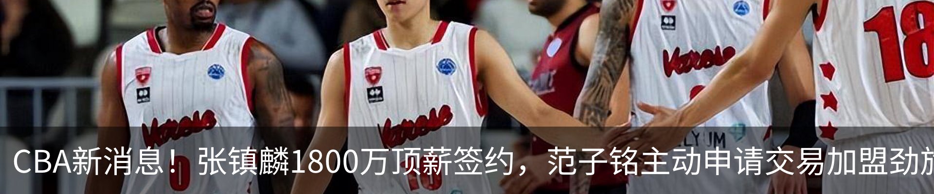最新动态